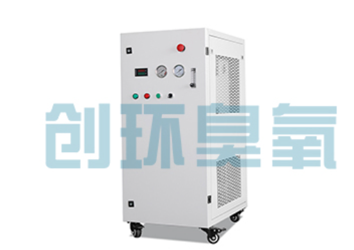 白城石斑鱼养殖水质调控完整指南：臭氧发生器配置与操作步骤