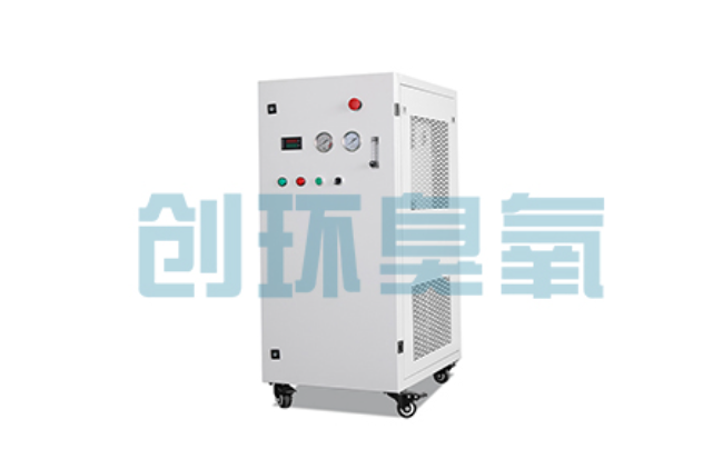 白城比传统换水更高效？臭氧发生器在石斑鱼养殖中的水质净化原理解析